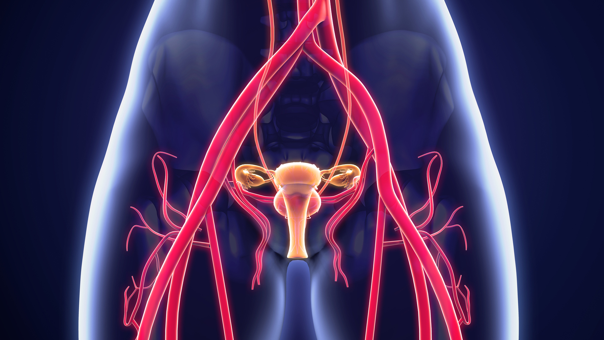 варикозное расширение вен малого таза норма. застой в малом тазу у мужчин. упражнения для кровотока малого таза. застой в малом тазу у мужчин. застой в малом тазу у мужчин.